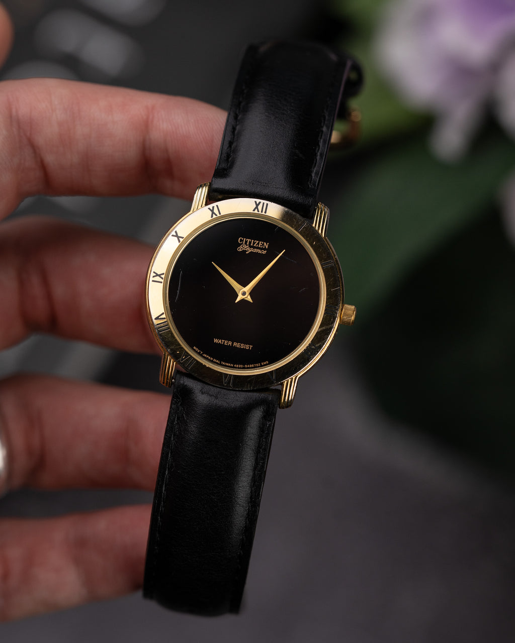 Citizen Elegance
