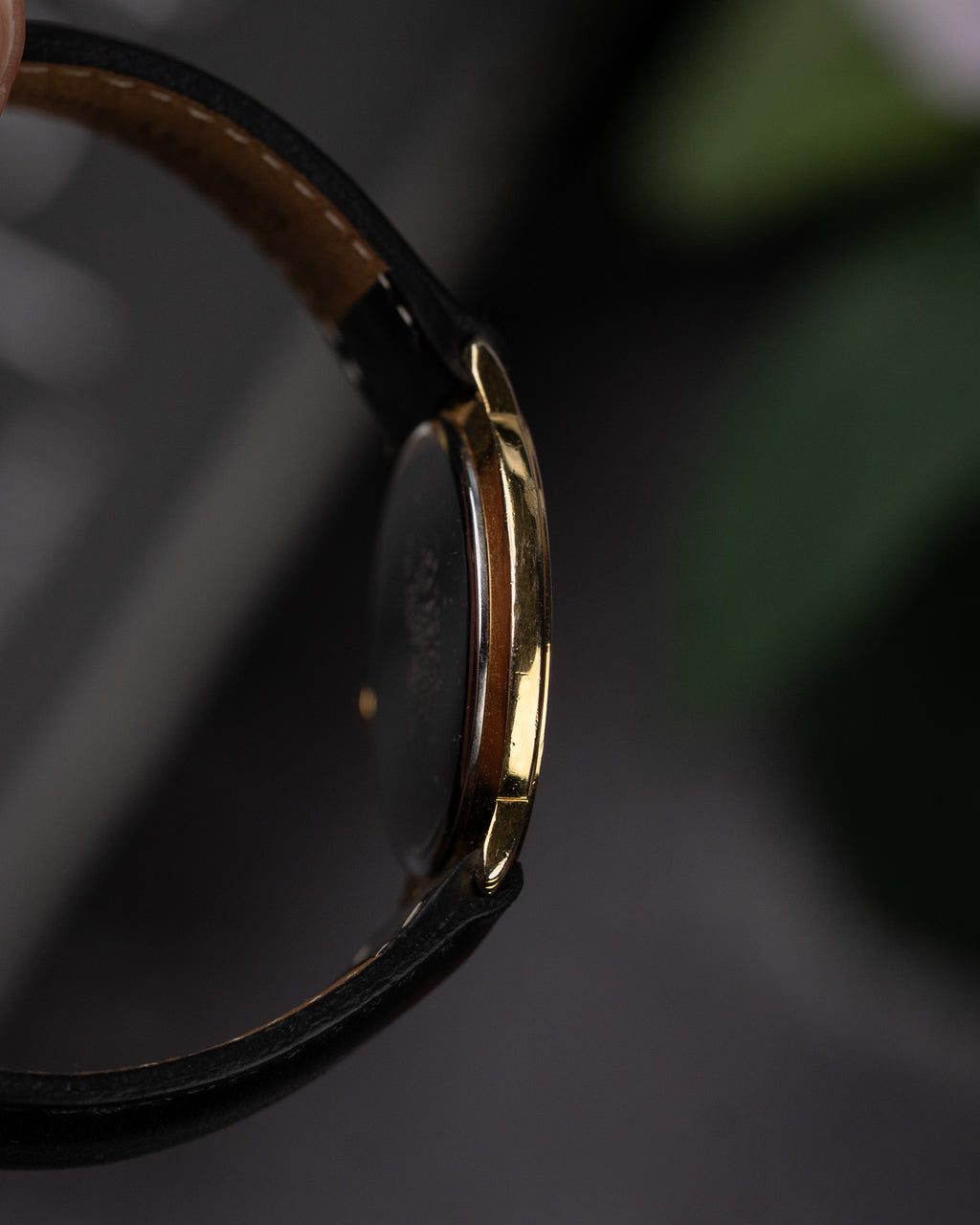 Citizen Elegance