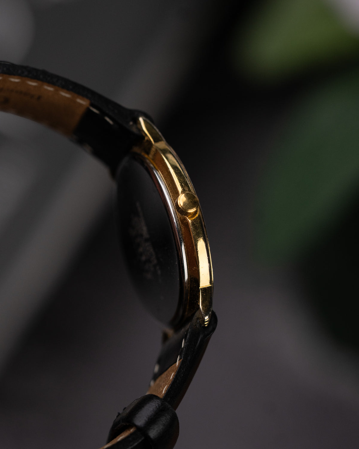 Citizen Elegance