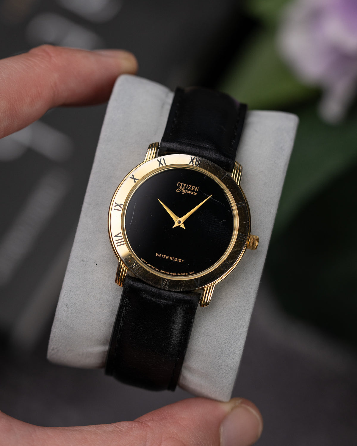 Citizen Elegance