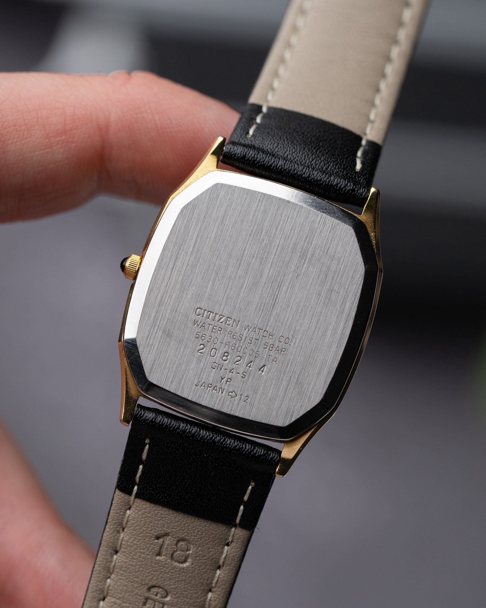 Citizen Forma 5630-F60005